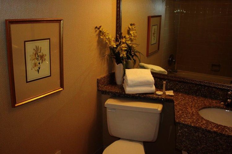 Zájezd Confederation Place Hotel ** - Ontario / Kingston - Koupelna