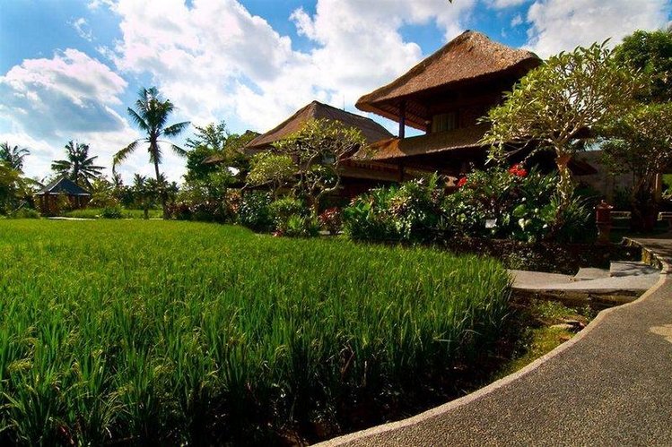 Zájezd Agung Raka Resort & Villas *** - Bali / Ubud - Záběry místa