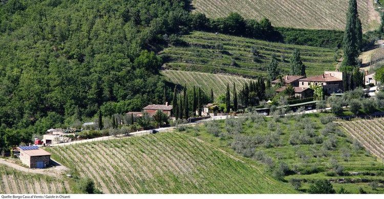 Zájezd Agriturismo Borgo Casa Al Vento *** - Toskánsko / Gaiole in Chianti - Krajina