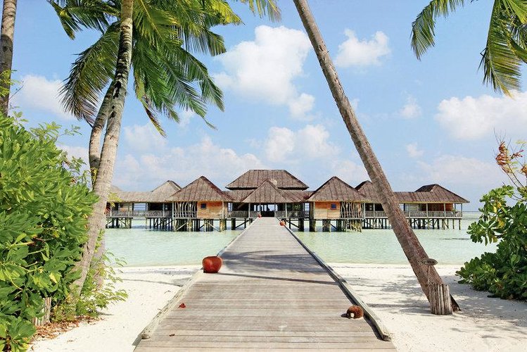 Zájezd Gili Lankanfushi Maldives ****** - Maledivy / Lankanfushi - Záběry místa