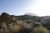 Národní park Teide*