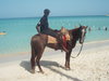 ježdění po pláži na koni*