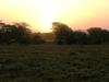 Východ slunce nad nár. parkem Tsavo East