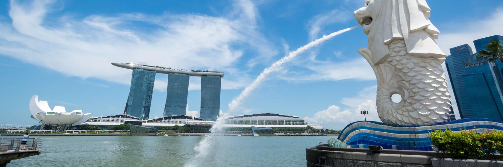 Pasy, víza a velvyslanectví v Singapuru