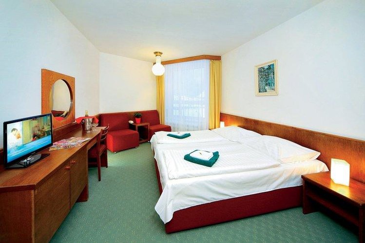 Zájezd Wellness Hotel Svornost *** - Krkonoše / Harrachov - Příklad ubytování