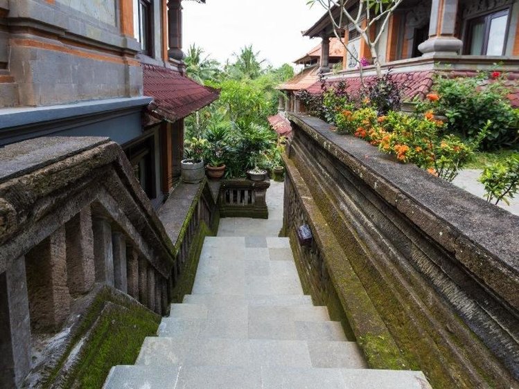 Zájezd Nicks Hidden Cottages ** - Bali / Ubud - Záběry místa