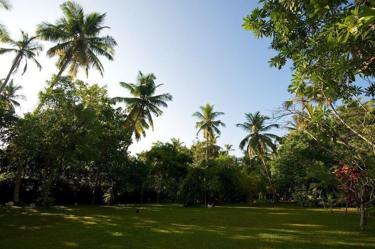 Zájezd Villa Modarawaththa *** - Srí Lanka / Koggala - Zahrada