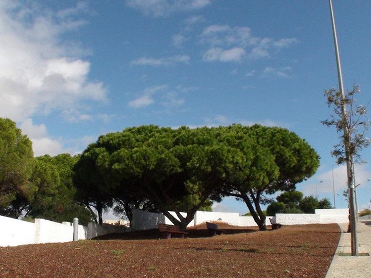 Zájezd Luna Valmangude Jardim *** - Algarve / Albufeira - Záběry místa