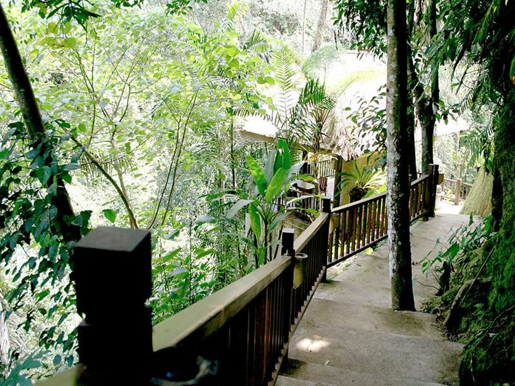 Zájezd Natura Resort & Spa **** - Bali / Ubud - Záběry místa