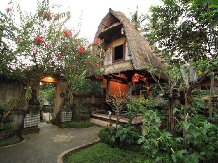 Zájezd Omah D'Taman Hotel ** - Bali / Ubud - Záběry místa