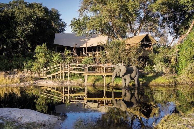 Zájezd Tubu Tree Camp **** - Botswana / Okavango-Delta - Záběry místa