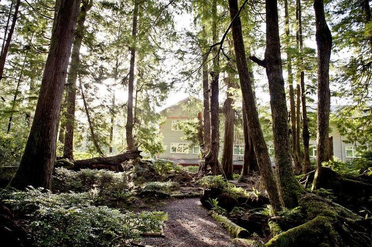 Zájezd Jamies Rainforest Inn *** - Britská Kolumbie / Pacific Rim National Park - Záběry místa