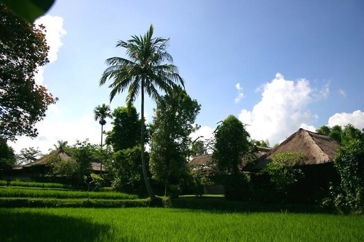 Zájezd Ananda Cottages *** - Bali / Bali - Záběry místa