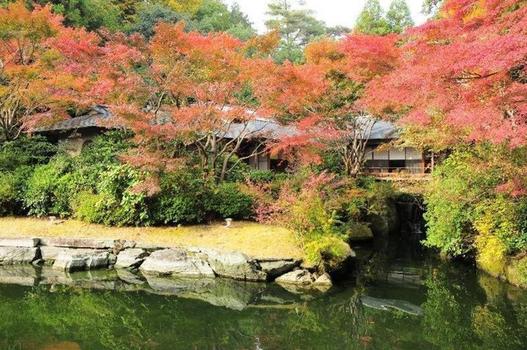 Zájezd Grand Prince Hotel Kyoto ***+ - Japonsko / Kyoto - Záběry místa