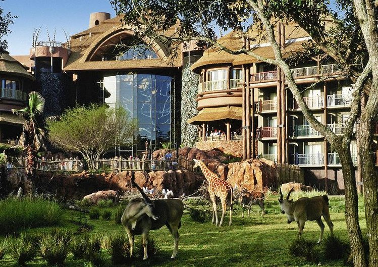 Zájezd Disney's Animal Kingdom Lodge ***** - Florida - Orlando / Orlando - Záběry místa