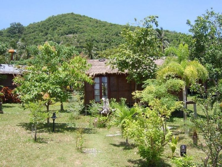Zájezd Tropical Garden Lounge ** - Koh Samui / Koh Samui - Záběry místa