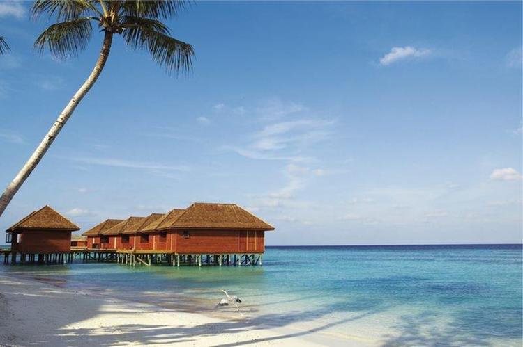 Zájezd Vilamendhoo Island Resort & Spa **** - Maledivy / Jižní Ari Atol - Záběry místa