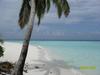 Maledivy - Neobydlený ostrov I