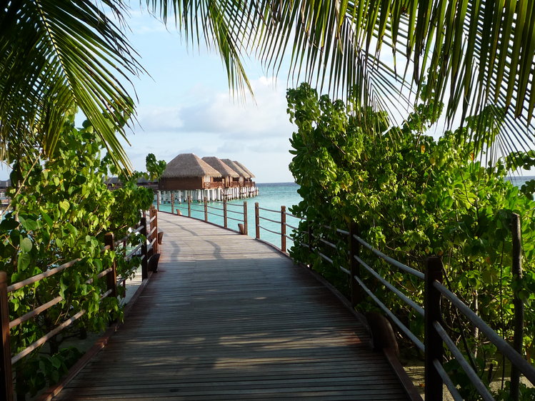 Zájezd Sun Siyam Vilu Reef ****+ - Maledivy / Dhaalu Atol - cesta k vodním vilám*