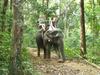 výlet na slonech- doporučuji*