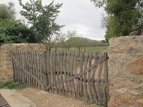 Vrata z olivového dřeva