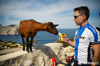 Koza na Formentoru