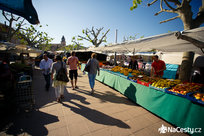Trhy v Santa Marii