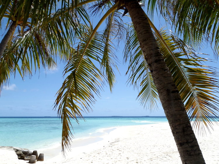 Zájezd Embudu Village *** - Maledivy / Jižní Male Atol - Největší pláž na ostrůvku