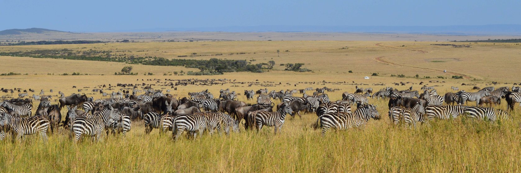 Dovolená Masai Mara
