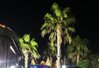 Antalya palmy u restaurace na pláži