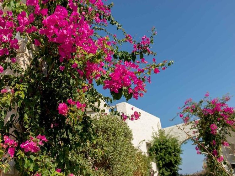 Zájezd Stagones Luxury Villas **** - Paros / Naoussa - Záběry místa