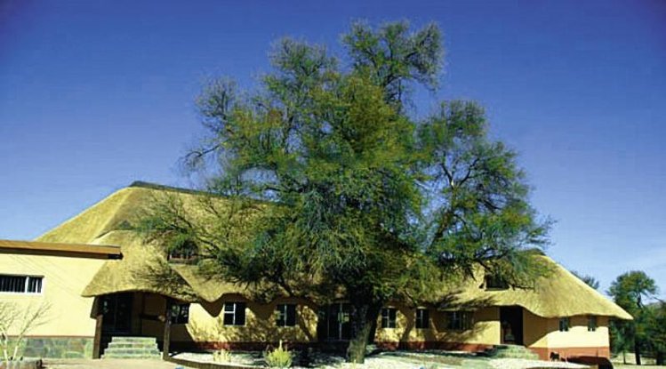 Zájezd Hammerstein Lodge ** - Namibie / Sesriem - Záběry místa