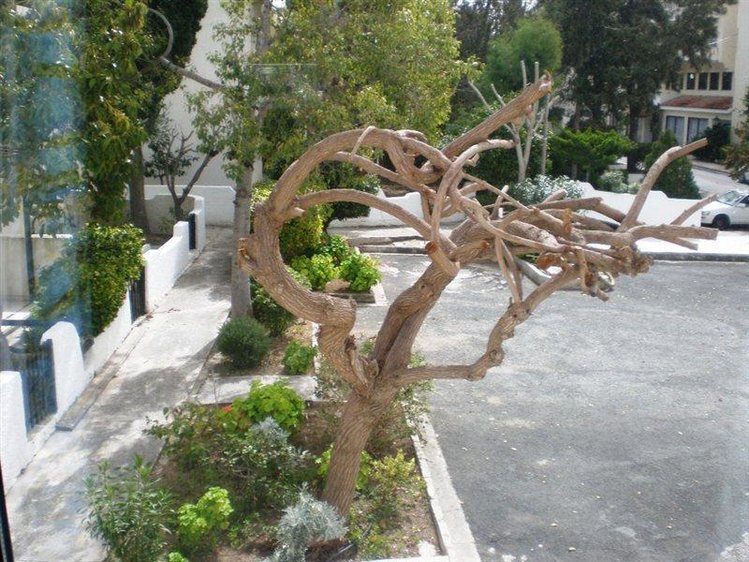 Zájezd Paphos Gardens *** - Kypr / Paphos - Zahrada