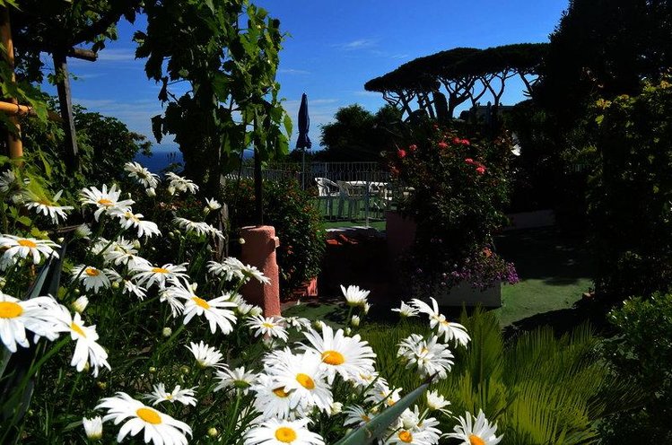 Zájezd Bel Tramonto *** - Ischia / Casamicciola Terme - Zahrada