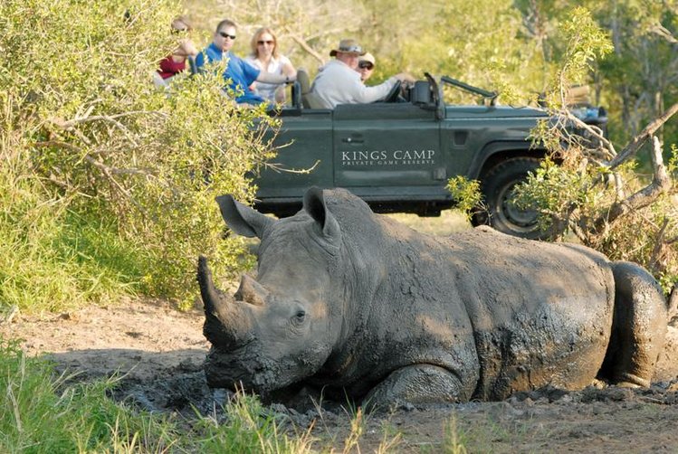Zájezd Kings Camp ***** - Durban / Timbavati Game Reserve - Záběry místa