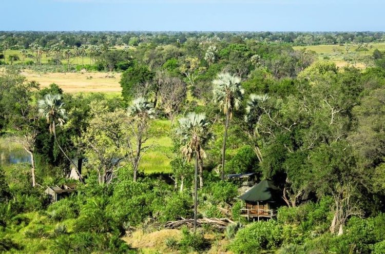 Zájezd Xigera Camp **** - Botswana / Moremi Nationalpark - Záběry místa