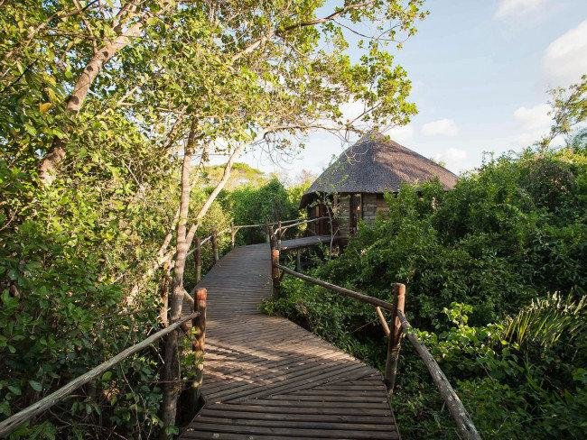 Zájezd Sadaani River Lodge **** - Tanzánie / Sadaani Reserve - Krajina