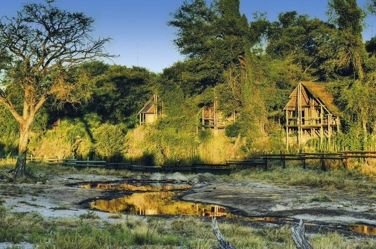 Zájezd Savute Safari Lodge *** - Botswana / Chobe Nationalpark - Záběry místa