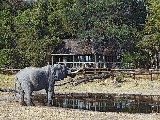 Zájezd Savute Safari Lodge *** - Botswana / Chobe Nationalpark - Záběry místa