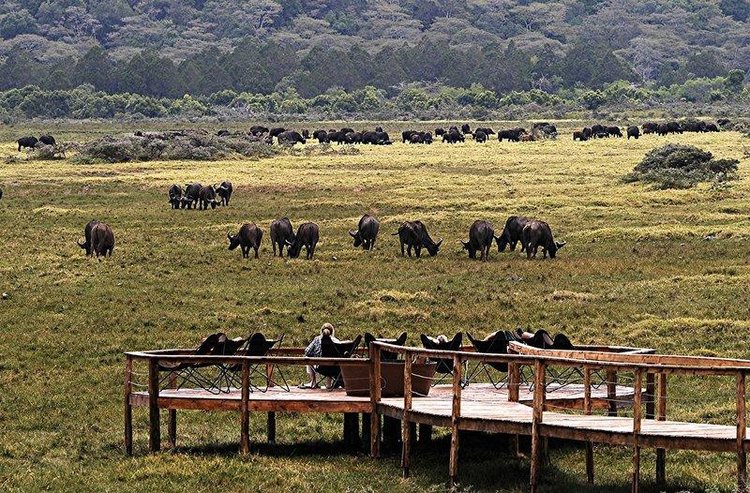 Zájezd Hatari Lodge **** - Tanzánie / Arusha-Nationalpark - Záběry místa
