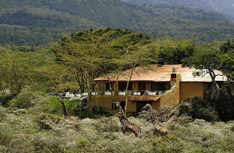 Zájezd Hatari Lodge **** - Tanzánie / Arusha-Nationalpark - Záběry místa
