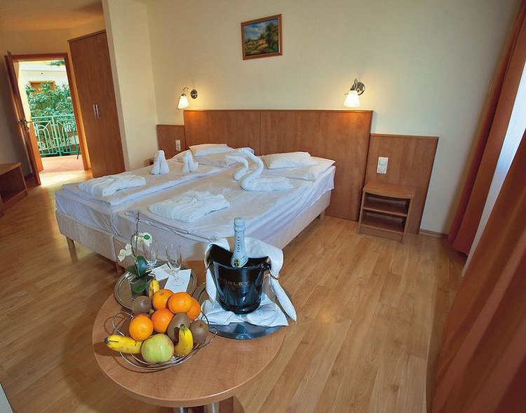 Zájezd Aqua Therm Hotel *** - Balaton / Zalakaros - Příklad ubytování