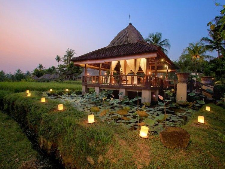 Zájezd Wapa Di Ume Resort & Spa **** - Bali / Ubud - Záběry místa