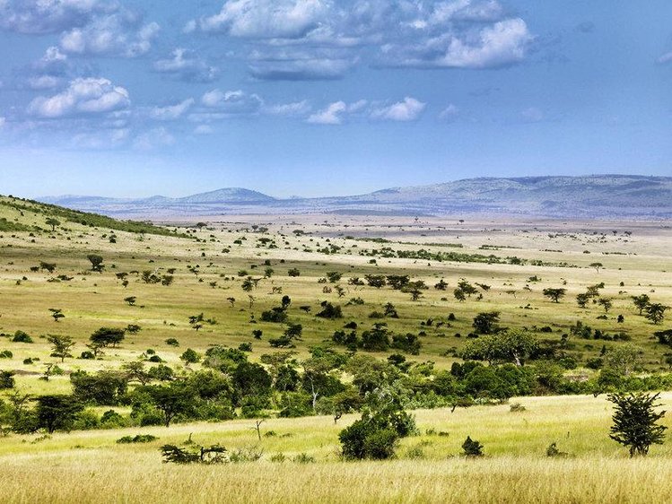 Zájezd Mara Bushtops ***** - Keňa / Masai Mara - Krajina